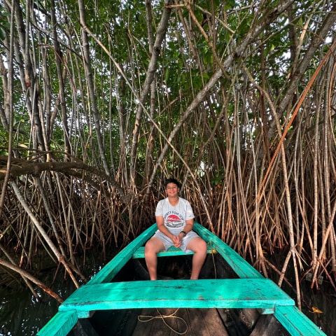 Mangrove Forests